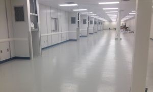 Pharma and Healthcare